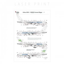 F-WWDD Greener Cleaner - Airbus A380