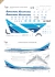Aerolineas Argentinas - Boeing 747-200