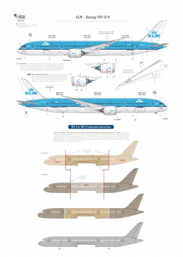 KLM - Boeing 787